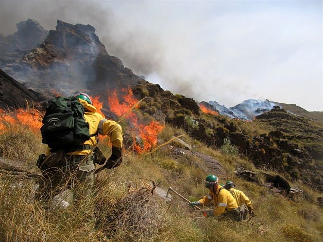 Miembros del Infoca trabajando en la extinción de un incendio (ARCHIVO)