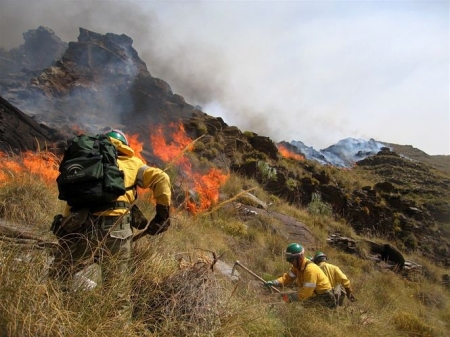 Miembros del Infoca trabajando en la extinción de un incendio (ARCHIVO) Miembros del Infoca trabajando en la extinción de un incendio (ARCHIVO)