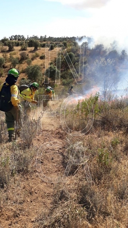 Miembros del Infoca trabajando en un incendio (INFOCA / ARCHIVO) Miembros del Infoca trabajando en un incendio (INFOCA / ARCHIVO)