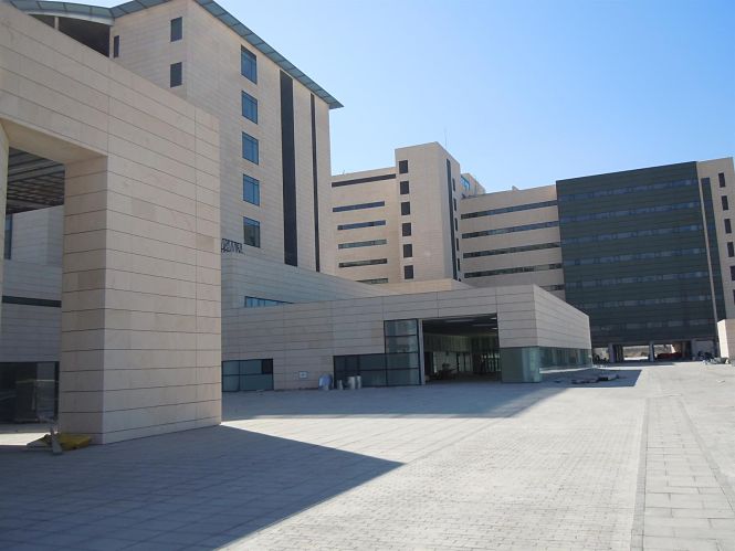 El heridoe stá ingresado en el hospital del PTS (EUROPA PRESS)