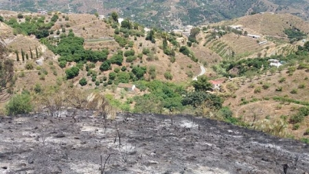 Zona de Almuñécar que se ha visto afectada por el incendio forestal (INFOCA) Zona de Almuñécar que se ha visto afectada por el incendio forestal (INFOCA)