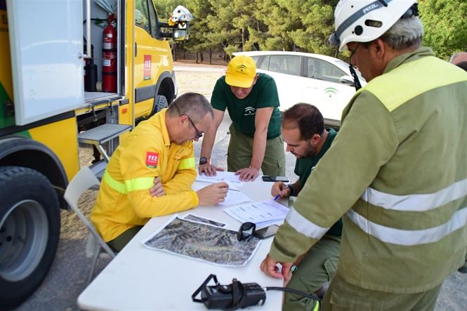 Efectivos del Infoca trabajan en la zona (INFOCA)