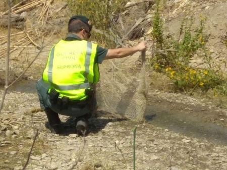 Interceptan a tres hombres capturando jilgueros en Almuñécar (GUARDIA CIVIL) Interceptan a tres hombres capturando jilgueros en Almuñécar (GUARDIA CIVIL)