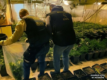 Intervención de marihuana en la operación `Knight II` (GUARDIA CIVIL) Intervención de marihuana en la operación `Knight II` (GUARDIA CIVIL)