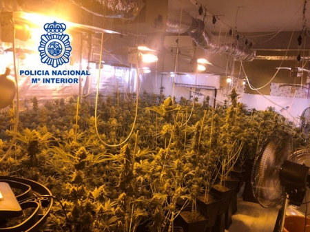 Marihuana incautada (POLICÍA NACIONAL) Marihuana incautada (POLICÍA NACIONAL)