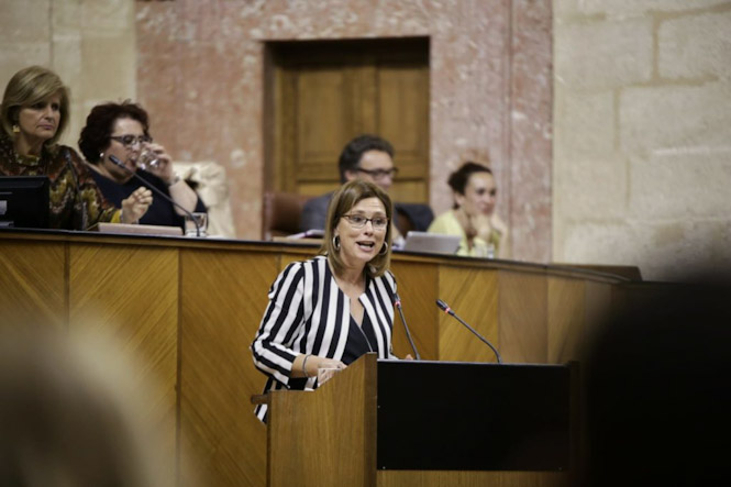Mar Sánchez durante una intervención en el Parlamento andaluz (CS)