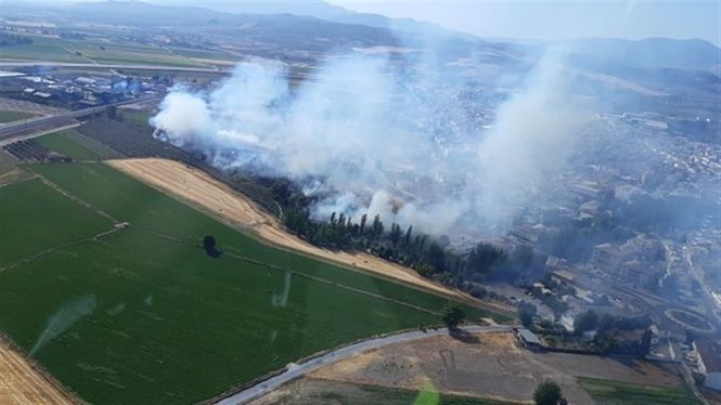 Zona afectada en el incendio de Pinos Puente (INFOCA)