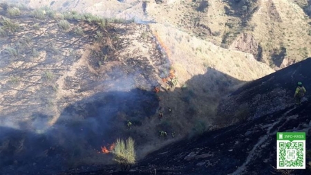 Lugar donde se está produciendo el incendio (INFOCA) Lugar donde se está produciendo el incendio (INFOCA)