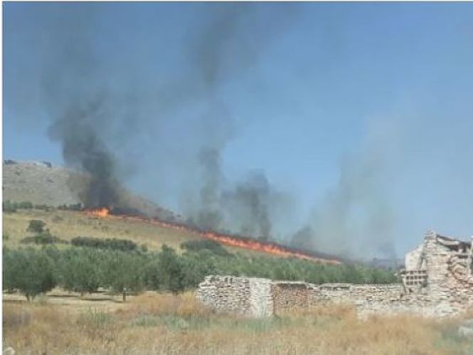 Incendio forestal en Alamedilla (JUNTA)
