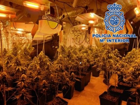 Una de las plantaciones desmanteladas (POLICÍA NACIONAL) Una de las plantaciones desmanteladas (POLICÍA NACIONAL)