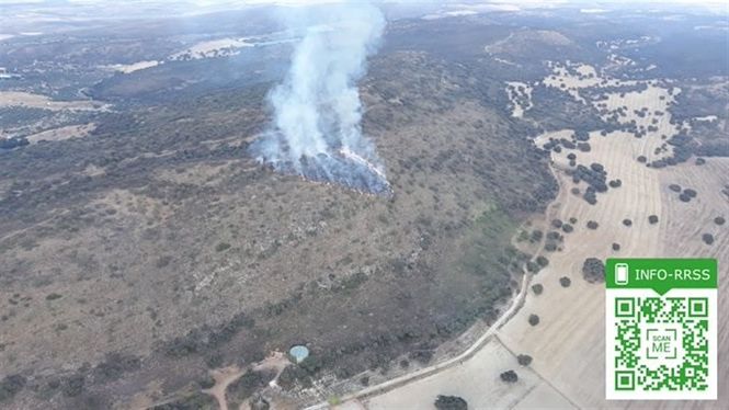 Incendio en Agrón (INFOCA)