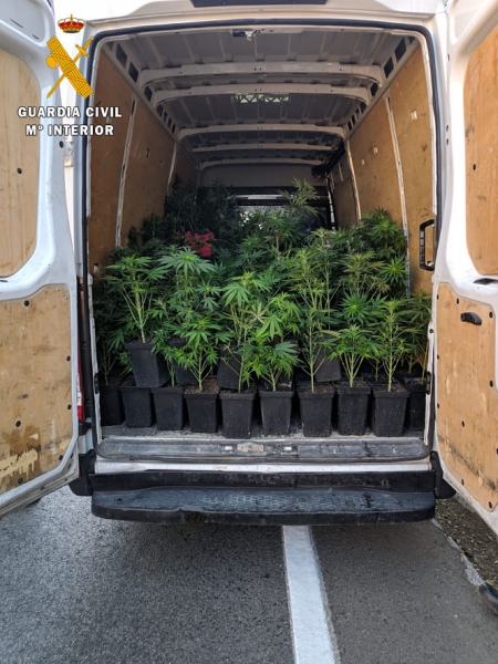 Cannabis Sativa en la furgoneta (GUARDIA CIVIL) Cannabis Sativa en la furgoneta (GUARDIA CIVIL)