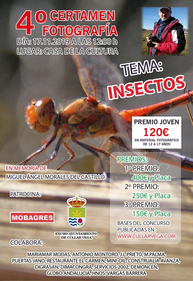 Cartel del concurso de fotografia de Cúllar Vega (AYTO. CÚLLAR VEGA)
