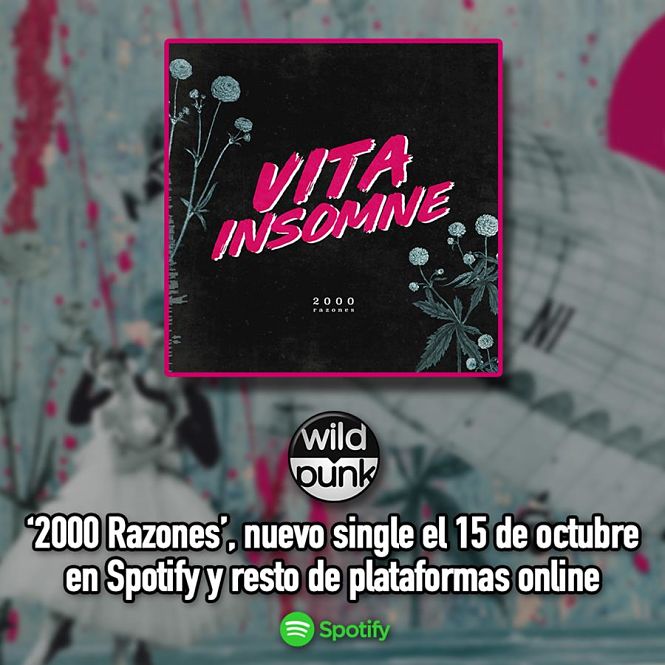 Vita insomne