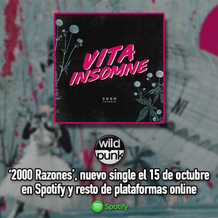 Vita insomne