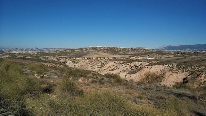 Zona de Dehesas de Guadix donde hay proyectada la instalación de una macrogranja (IU)