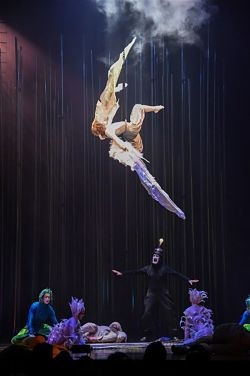 Circo del sol