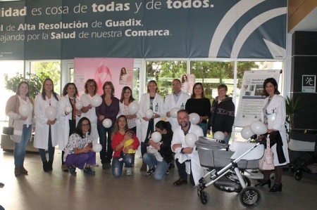 Profesionales que han participado en las jornadas (JUNTA) Profesionales que han participado en las jornadas (JUNTA)