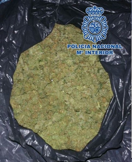 Bolsa de basura con los Cogollos (POLICÍA NACIONAL) Bolsa de basura con los Cogollos (POLICÍA NACIONAL)