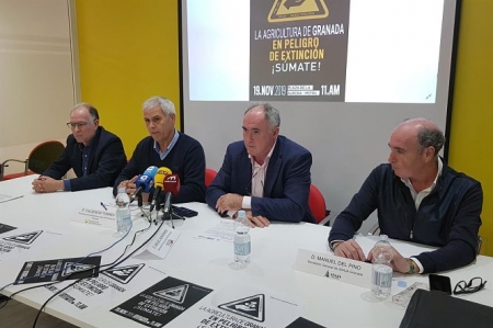 Sector hortofrutícola prepara su manifestación Sector hortofrutícola prepara su manifestación