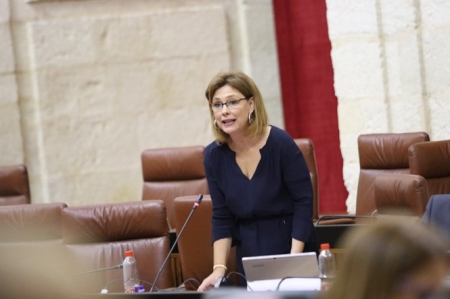 Mar Sánchez, parlamentaria Andaluza de CS (CIUDADANOS) Mar Sánchez, parlamentaria Andaluza de CS (CIUDADANOS)