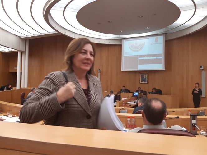 Cristina Jiménez en el pleno de Diputación (VOX)