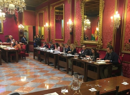 Pleno del Ayuntamiento de Granada (VOX) Pleno del Ayuntamiento de Granada (VOX)