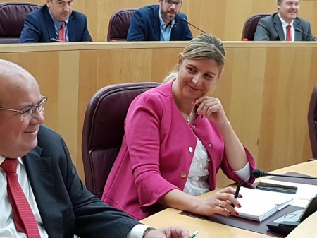 La diputada provincial del PP Inmaculada Hernández (PP) La diputada provincial del PP Inmaculada Hernández (PP)