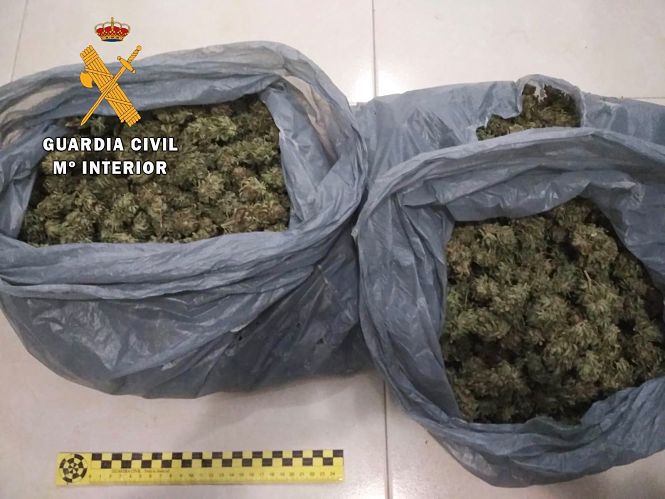 Marihuana