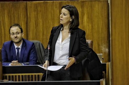 Ana Vanessa García en el parlamento andaluz (PP) Ana Vanessa García en el parlamento andaluz (PP)