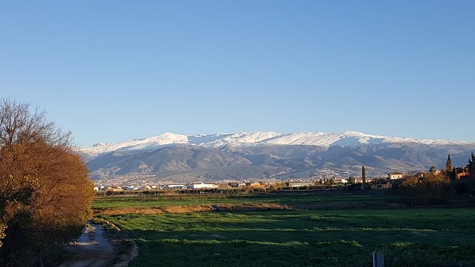 Panorámica de Cúllar Vega (AYTO. CÚLLAR VEGA)