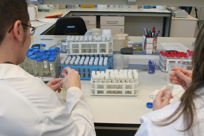Imagen de un laboratorio (GVA) 