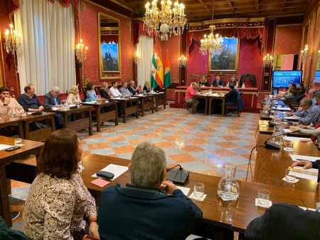 Sesión cosntitutiva del Consejo de Participación Vecinal (AYTO. GRANADA) Sesión cosntitutiva del Consejo de Participación Vecinal (AYTO. GRANADA)