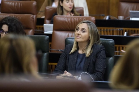 Marifrán Carazo en el Parlamento de Andalucía (JUNTA) Marifrán Carazo en el Parlamento de Andalucía (JUNTA)