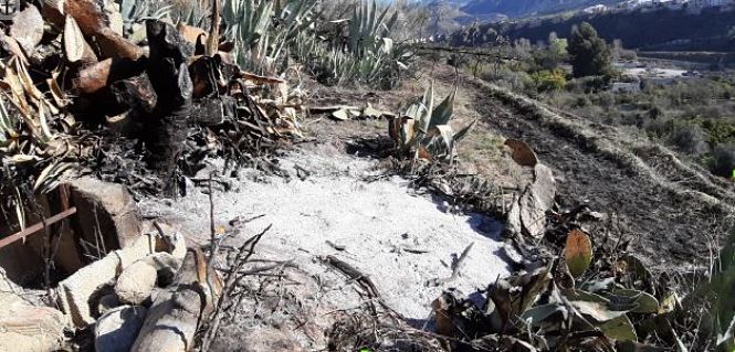 Zona afectada por el incendio (JUNTA)