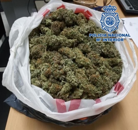 Bolsa de cogollos de Marihuana incautada (POLICÍA NACIONAL) Bolsa de cogollos de Marihuana incautada (POLICÍA NACIONAL)