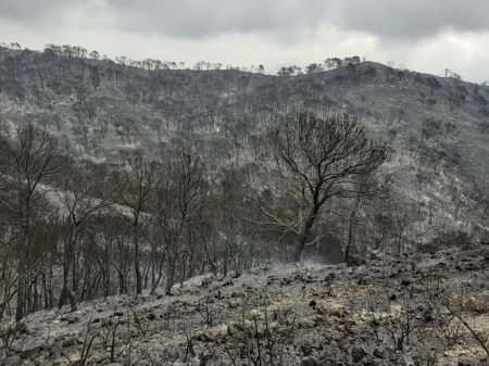 Imagen de la superficie calcinada en el incendio de Los Guajares (PLAN INFOCA) Imagen de la superficie calcinada en el incendio de Los Guajares (PLAN INFOCA)