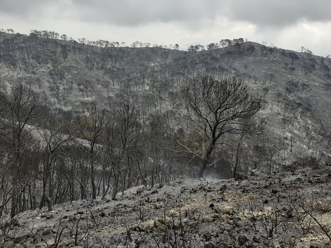 Imagen de la superficie calcinada en el incendio de Los Guajares (PLAN INFOCA) 