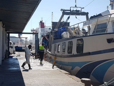 Operarios municipales durante los trabajadores de desinfección de las inmediaciones de la lonja pesquera (AYTO. MOTRIL) 
