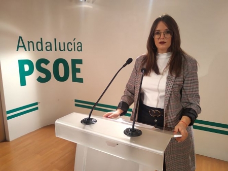 María Ramírez, responsable de Educación del PSOE (PSOE) 
