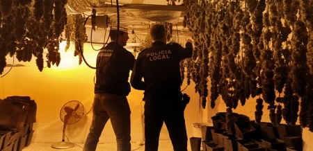 Una de las plantaciones descubiertas en Santa Fe (GUARDIA CIVIL) Una de las plantaciones descubiertas en Santa Fe (GUARDIA CIVIL)