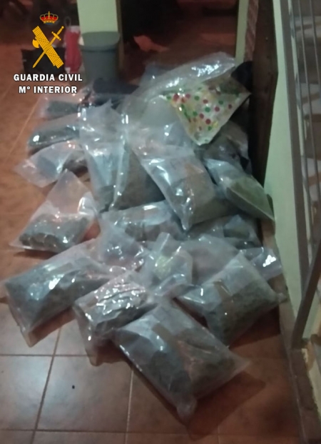 Marihuana incautada en El Chaparral (GUARDIA CIVIL) Marihuana incautada en El Chaparral (GUARDIA CIVIL)