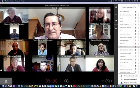 Reunión por videoconferencia con los alcaldes (DIPUTACIÓN) 