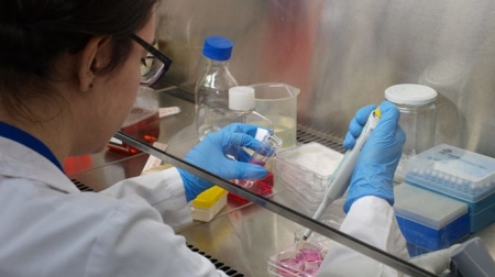 Una investigadora de la UGR (UNIVERSIDAD) 