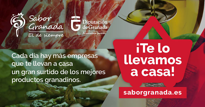 DIPUTACIÓN DE GRANADA 