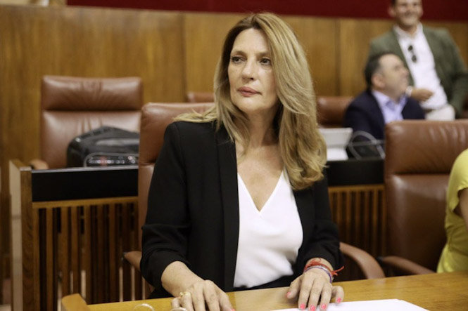 Concha Insúa, parlamentaria andaluza de CS (CIUDADANOS)