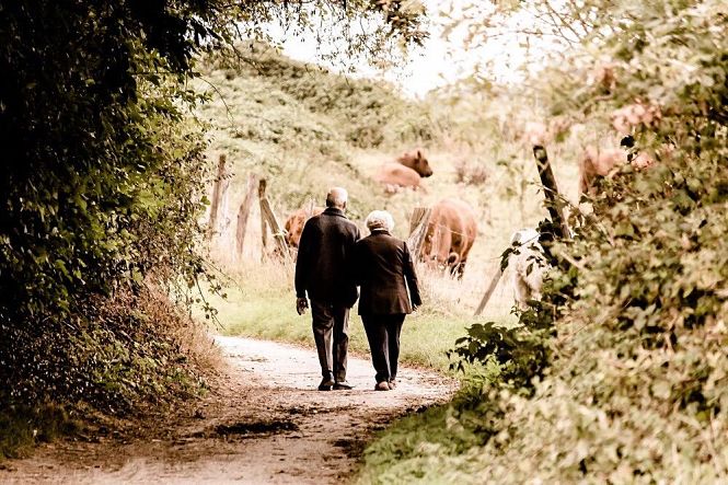 Pensionistas dando un paseo (SUBDELEGACIÓN) 