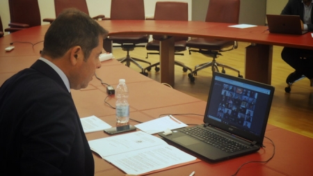 Gerardo Cuerva durante un pleno telemático (CÁMARA GRANADA)