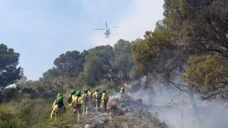 Bomberos del Infoca trabajando en la zona del incendio (INFOCA) Bomberos del Infoca trabajando en la zona del incendio (INFOCA)