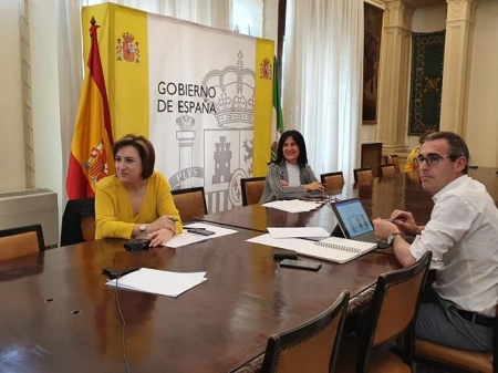 Imagen de la reunión telemática de la mesa del aeropuerto (SUBDELEGACIÓN) 